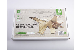 Сверхзвуковой истребитель (конструктор из дерева)
